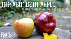 What do you do when you just have too many apples? Get to work in the kitchen! These 15 delicious apple recipes will help you bust that bushel in no time! Rootsy.org