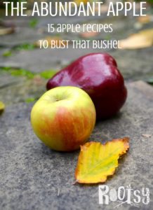 What do you do when you just have too many apples? Get to work in the kitchen! These 15 delicious apple recipes will help you bust that bushel in no time!