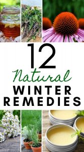 collage of herbs and herbal remedies for colds