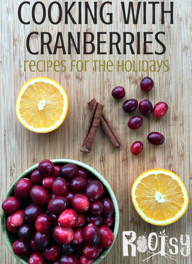 Easy Ways to Begin Cooking with Cranberries Rootsy Network