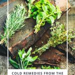 bundles of herbs for cold remedies on wood