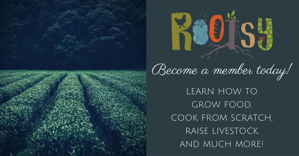 Join Rootsy to make your simple living goals a reality.