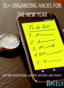 15+ Organizing Hacks for the New Year - Rootsy