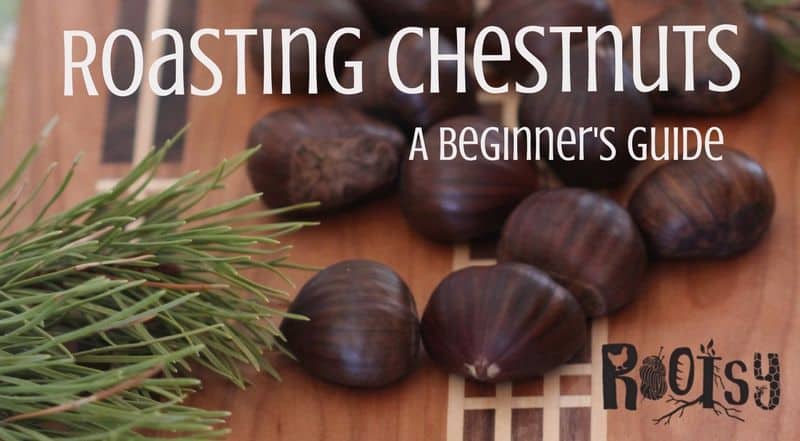 roasting chestnuts beginner's guide