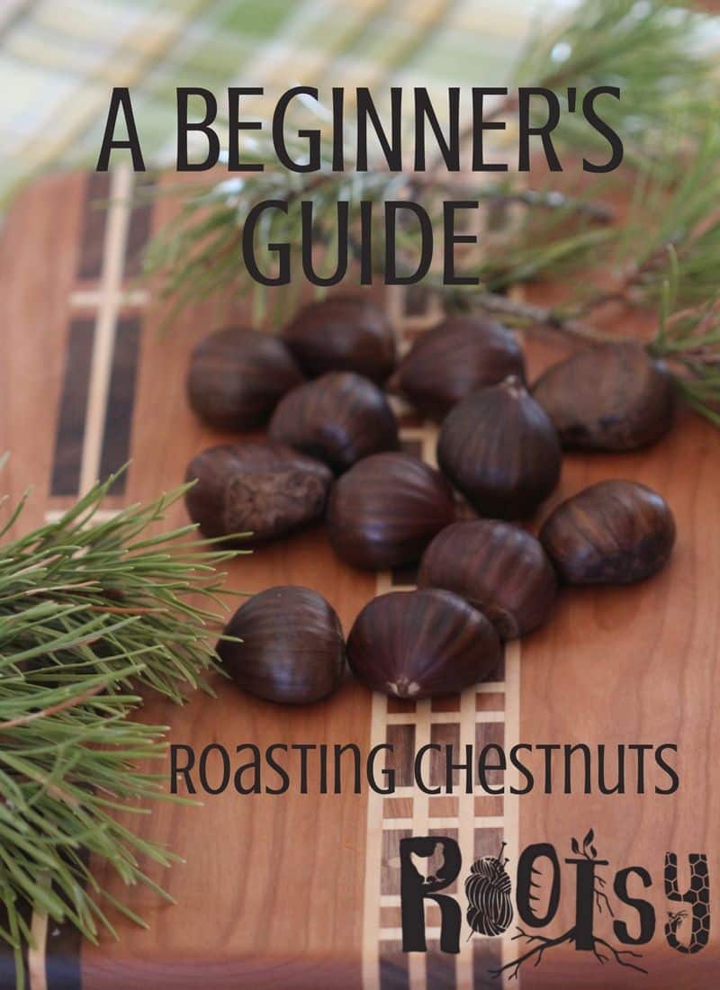 A beginner's guide to roasting chestnuts. Learn how to roast chestnuts for a festive holiday treat!
