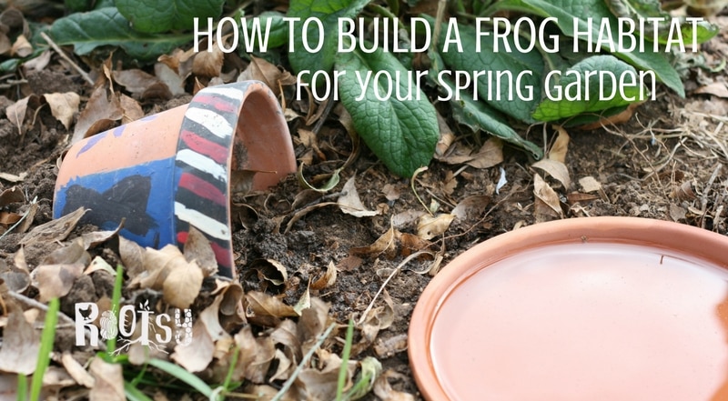 Frogs and toads are wonderful for your garden. They eat lots of insects such as mosquitoes, slugs and beetles. So, build a few frog habitats in the garden for natural pest control.
