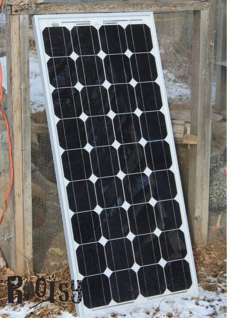 An additional large solar panel. Experiencing the ebb and flow of egg production? You can safely provide supplemental chicken coop lighting when you take these factors into consideration. | Rootsy.org