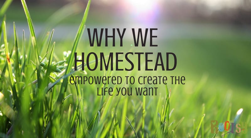 The foundation of Rootsy is simple living and homesteading. We interviewed homesteaders all around the USA. Let us tell you why we homestead.