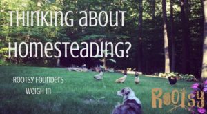 Thinking About Homesteading? The Rootsy Founders weigh in about why we homestead | Rootsy.org