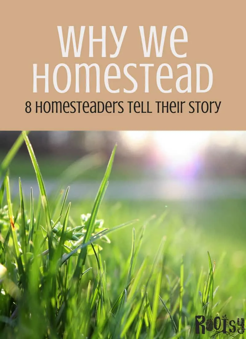 The foundation of Rootsy is simple living and homesteading. We interviewed homesteaders all around the USA. Let us tell you why we homestead.