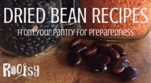 Dried Bean Recipes from your pantry for preparedness | Rootsy.org