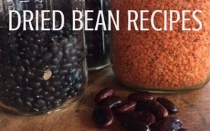 Stocking your pantry with dried beans makes good sense. Beans are a great source of protein and versatile, as you will see in these dried bean recipes | Rootsy.org