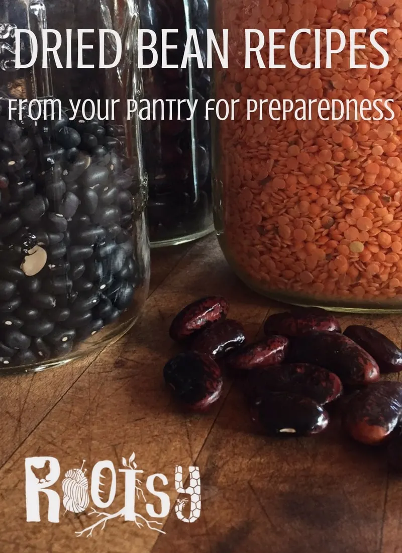 Stocking your pantry with dried beans makes good sense. Beans are a great source of protein and versatile, as you will see in these dried bean recipes | Rootsy.org