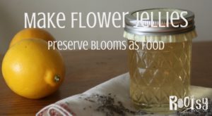 Make the most of the beautiful blooms of spring and summer and make flower jellies to preserve their flavor for winter eating.