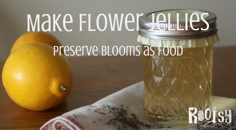 Make the most of the beautiful blooms of spring and summer and make flower jellies to preserve their flavor for winter eating | Rootsy.org