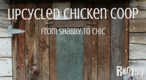 This DIY upcycled chicken coop cost around $100. With recycled items, you really can get into your dream of raising a backyard flock for very little money | Rootsy.org