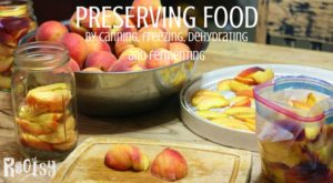 Preserving food by canning, freezing, dehydrating and fermenting is a great way to get the most out of your garden harvest | Rootsy.org