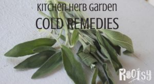 Fight illness naturally by making kitchen herb garden cold remedies with these common culinary herbs and easy preparation methods.