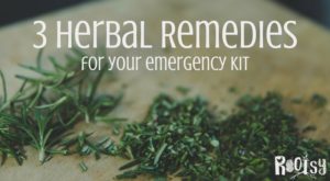 3 herbal remedies for your emergency kit | Rootsy.org