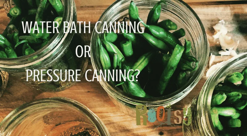 Water Bath Canning or Pressure Canning? Learn which is the right for you with Rootsy!
