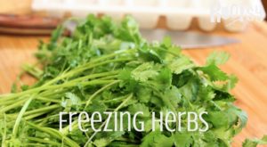 Make saving herbs a snap with our guide to freezing herbs | Rootsy.org