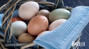 farm fresh eggs in basket with blue towel