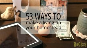 You don't need a lot of property to make this happen. Get your ideas flowing about making a living on your homestead. These 53 ways will help you get started.