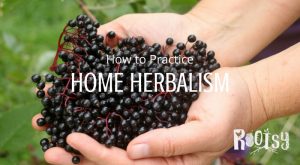Increase self-sufficiency while keeping the body and home healthy by learning to practice home herbalism with these easy methods and courses | Rootsy.org
