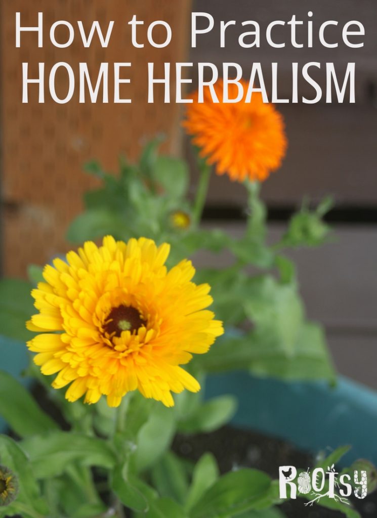 How to Practice Home Herbalism Rootsy Network