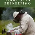 beekeeper smoking hive to harvest honey
