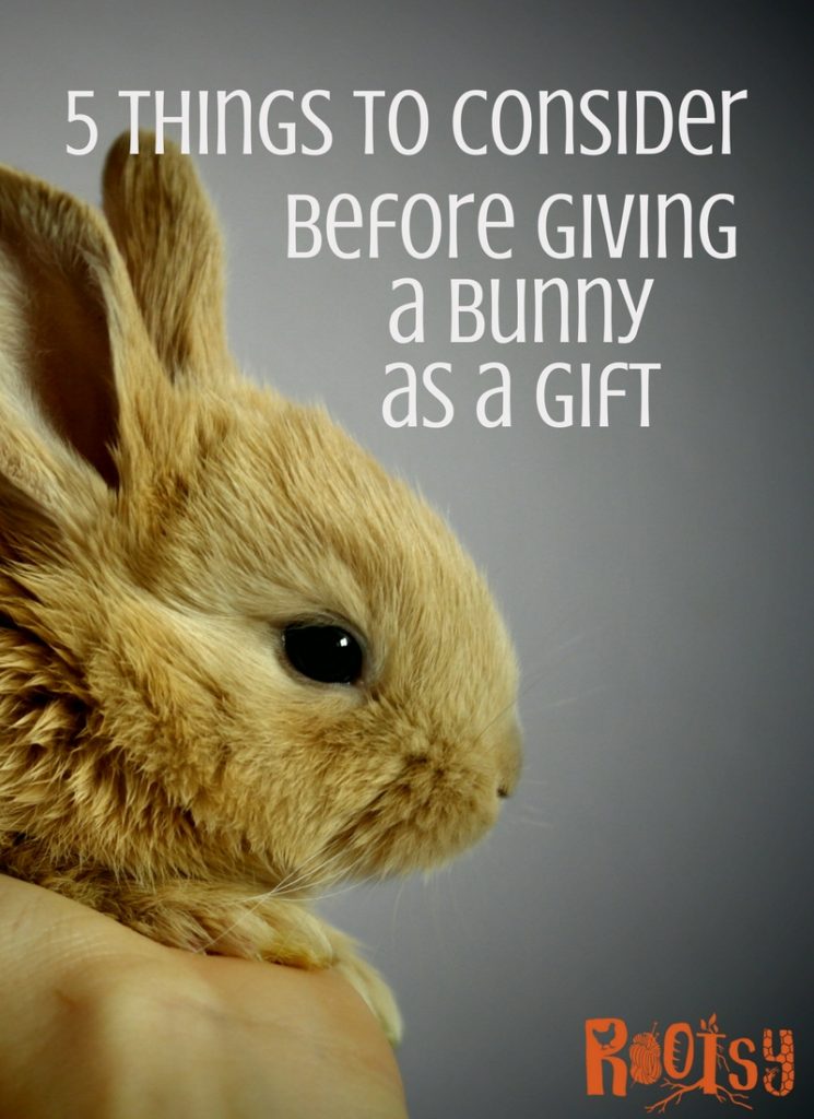 5 Things to Think About Before Giving a Bunny for Easter Rootsy Network