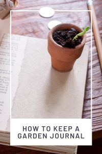A closed book with a small clay pot with growing seedling sitting on top surrounded by a pencil, coins, and coffee cup with text overlay stating: how to keep a garden journal.