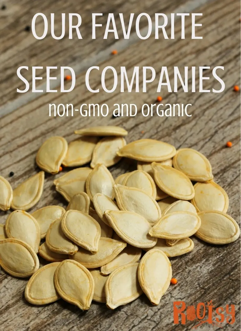Wondering where to get organic, non-gmo seeds? At Rootsy, we're sharing our favorite seed companies, their catalogs, and why we like them.