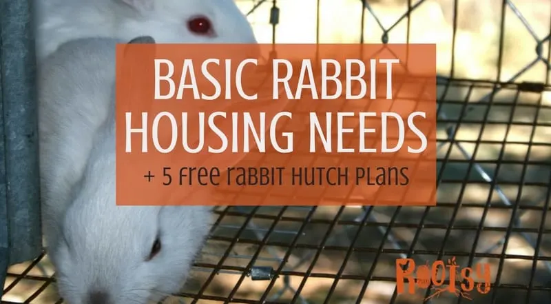 There is no one style of rabbit housing that is suitable for all situations, but there are certain basic rabbit housing needs that should be met regardless of the type of housing used | Rootsy.org