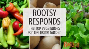 The best vegetables for the home garden might be hard to choose, but with your help, we'll give it a try. Each month The Rootsy Community comes together to bring their best ideas to the table. We call it CSA, Community Supported Answers!