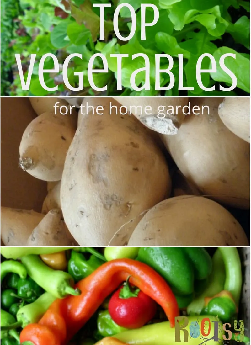Raising your own vegetables for fresh home produce is a goal that every self-reliant gardener strives to achieve. You'll have success with vegetables for the home garden when you follow these simple rules. 