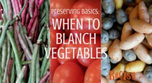 Serious home preservers look for shortcuts to help create the best product that will last the longest on the pantry shelves. Learning when to blanch vegetables can help save money, save time, and give you the best-tasting food | Rootsy.org