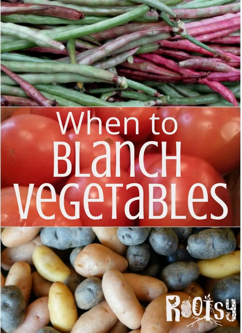 Serious home preservers look for shortcuts to help create the best product that will last the longest on the pantry shelves. Learning when to blanch vegetables can help save money, save time, and give you the best-tasting food | Rootsy.org