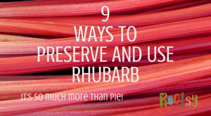 Rhubarb, that early rising perennial that you can completely ignore and know it will keep coming back in garden zones 3 to 8. With such a prolific producer, the more ways to preserve and use rhubarb you know the better! Rootsy