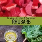 Using and preserving rhubarb