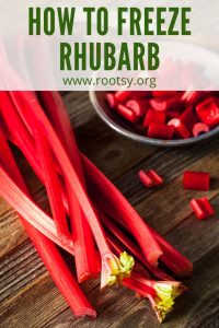 rhubarb stalks being cut for preserving