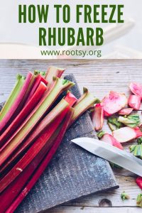 rhubarb stalks being cut for cooking