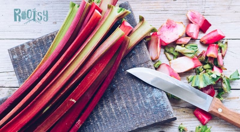 Stalks of red rhubarb sitting on a cutting board with chopped pieces and a knife sitting to the right.