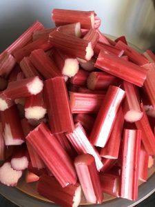 Juicing Rhubarb - Rootsy