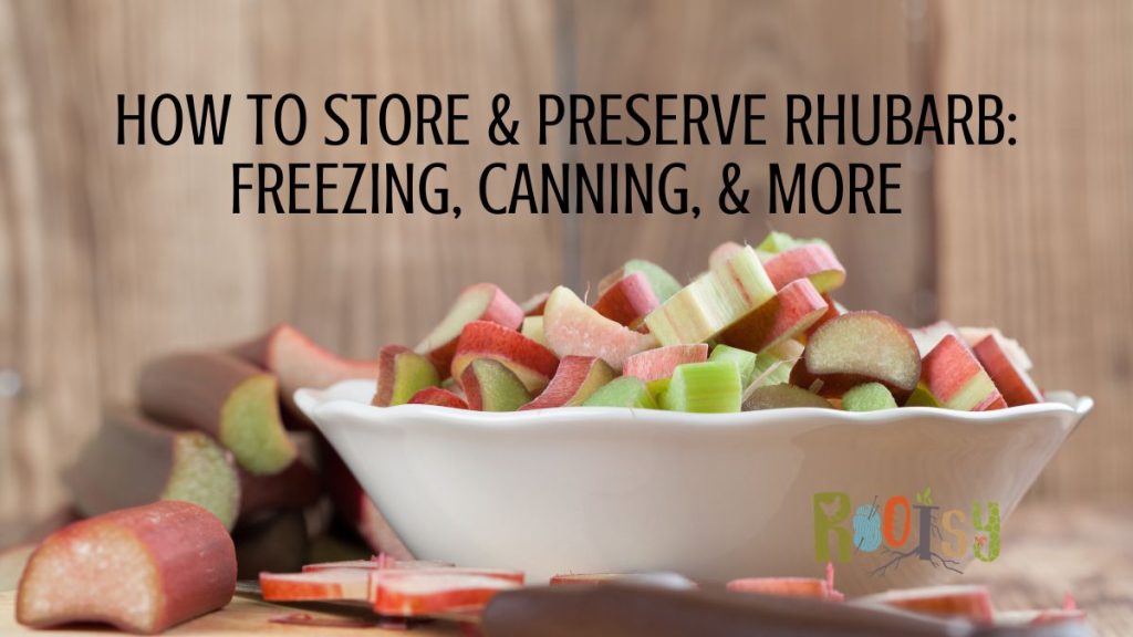 A white bowl filled with chopped rhubarb sits on a wooden surface, surrounded by scattered pieces. Text reads: "Ways to preserve and use rhubarb: freezing, canning, & more.