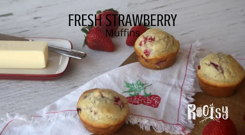 Fresh strawberry muffins on a table with strawberries. Make the most of juicy berries by whipping up these quick and easy fresh strawberry muffins for breakfast and snack time. 