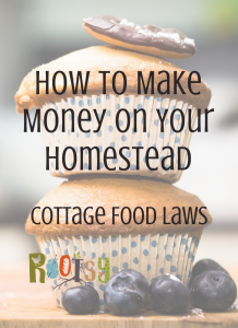 Wondering how to make money from home? Let us walk you through your State's Cottage Food Laws! - Rootsy
