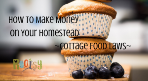 How to Make Money on Your Homestead - Cottage Food Laws - Rootsy