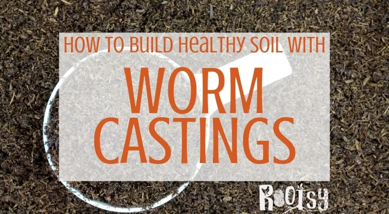 Building healthy soil takes time, in fact, it can take year. But there are things you can do to speed it a long, like using worm castings to nourish your plants. Learn all about worm casting and how to use them today.