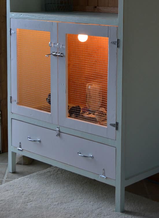 A wooden rabbit hutch with mesh doors and a drawer below resembles a DIY chicken coop. The interior is softly lit with an orange bulb, revealing small dark objects that might be food or toys. It stands on a light carpeted floor, adding warmth to its cozy design.